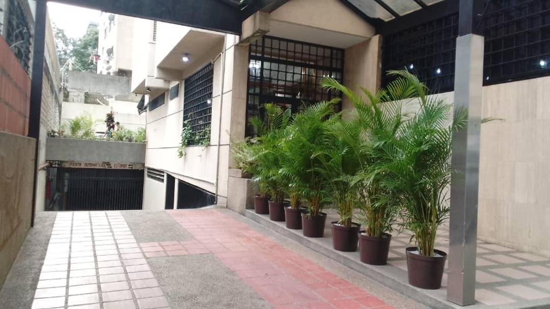 קראקס Hotel Plaza Venezuela מראה חיצוני תמונה